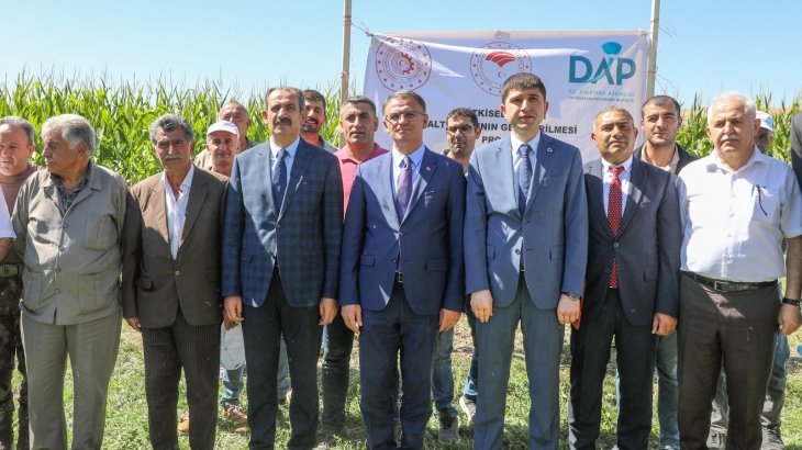 Vali Balcı, Gürpınar'da mısır hasadına katıldı